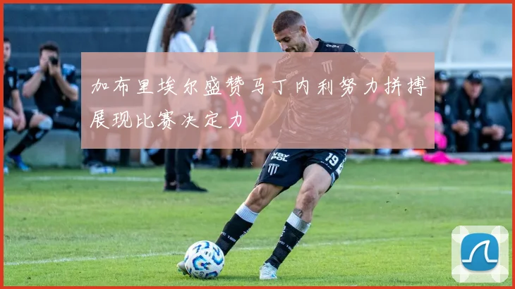 加布里埃尔盛赞马丁内利努力拼搏展现比赛决定力