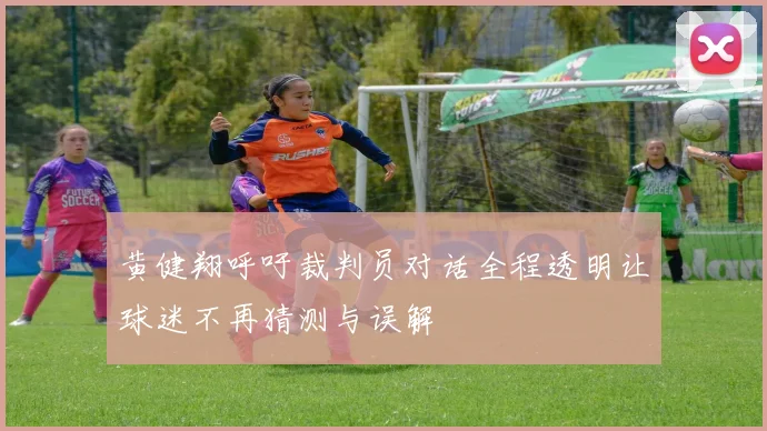 黄健翔呼吁裁判员对话全程透明让球迷不再猜测与误解