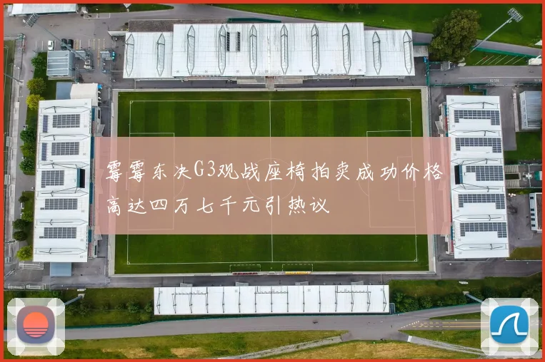 霉霉东决G3观战座椅拍卖成功价格高达四万七千元引热议